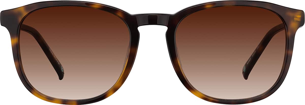 Image of Lunettes de voyageurs