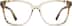 Square Glasses 4450215 in Beige