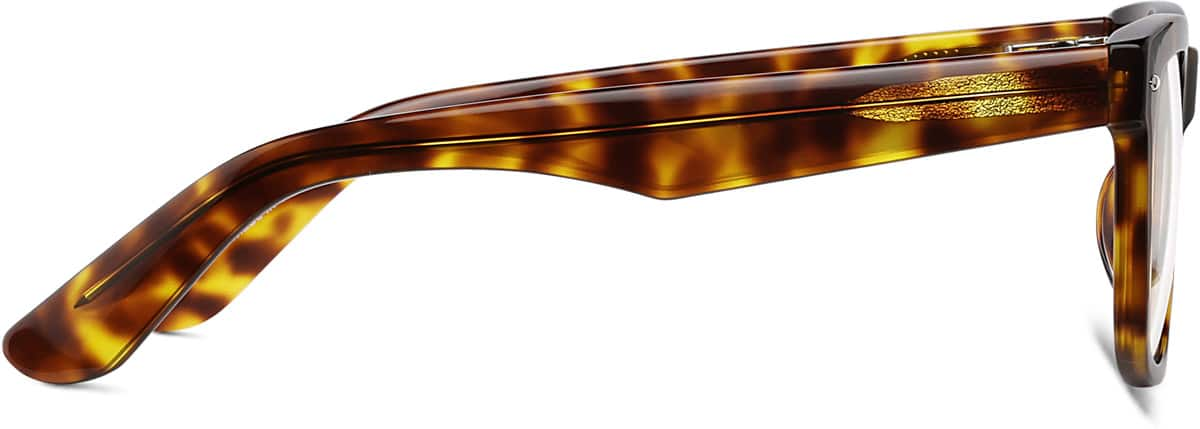 Side view of Bodega Eyeglasses 445525 in Tortoiseshell