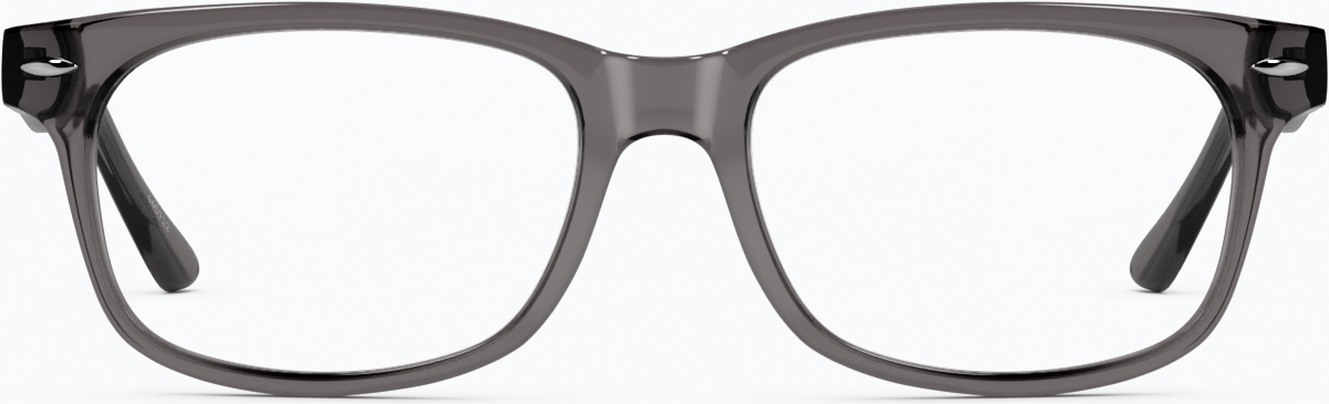 Front view of Tamalpais Eyeglasses 445912 in Gray thumbnail