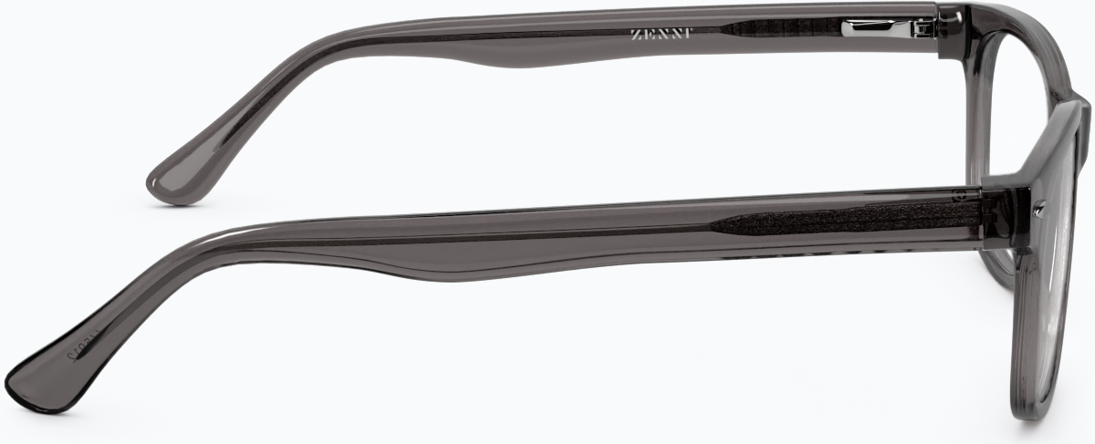 Side view of Tamalpais Eyeglasses 445912 in Gray thumbnail