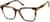 Angle view of Square Glasses 4460125 in Tortoiseshell thumbnail