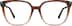 Premium Cat-Eye Glasses 4461515 in Brown