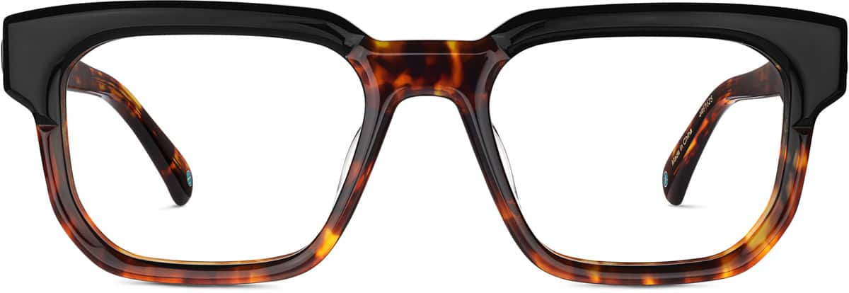 Front view of Storyteller 4461625 in Tortoiseshell