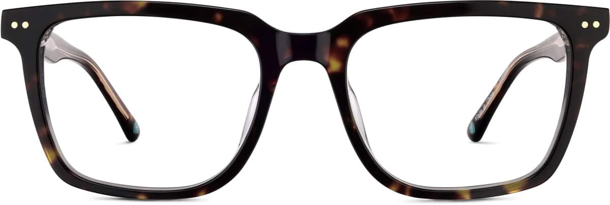 Front view of Zen Mode 4462025 in Tortoiseshell