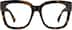 Square Glasses 4462425 in Tortoiseshell