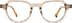 Square Glasses 4464315 in Beige