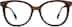 Cat-Eye Glasses 4464415 in Brown