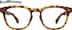 Square Glasses 4464525 in Tortoiseshell