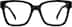 Square Glasses 4464725 in Tortoiseshell