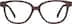 Square Glasses 4465215 in Brown