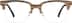 Browline Glasses 4465432 in Dark Brown