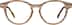 Round Glasses 4465632 in Light Brown