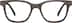 Rectangle Glasses 4465932 in Dark Brown