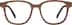 Square Glasses 4466115 in Brown