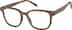 Square Glasses 4466132 in Brown