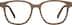 Square Glasses 4466132 in Brown