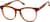Angle view of Square Glasses 4466825 in Tortoiseshell thumbnail