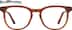 Square Glasses 4466825 in Tortoiseshell