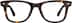 Square Glasses 4467125 in Tortoiseshell