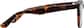 Side view of Square Glasses 4467125 in Tortoiseshell thumbnail