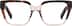 Eccentric Edge 4467725 in Tortoiseshell
