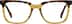 Square Glasses 4468115 in Brown