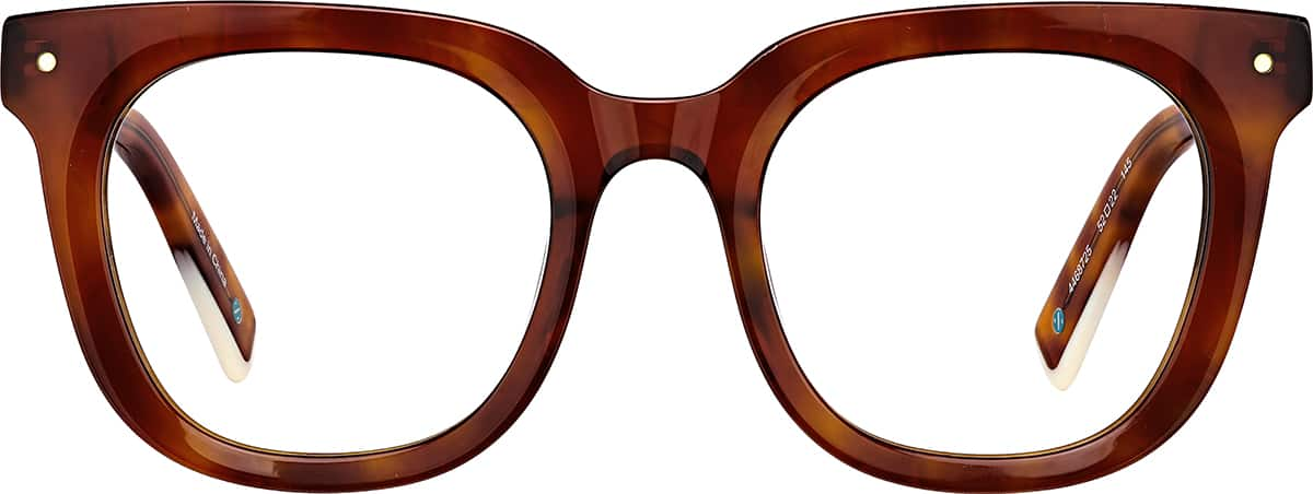 Front view of Dazzle De-lite  4468725 in Tortoiseshell