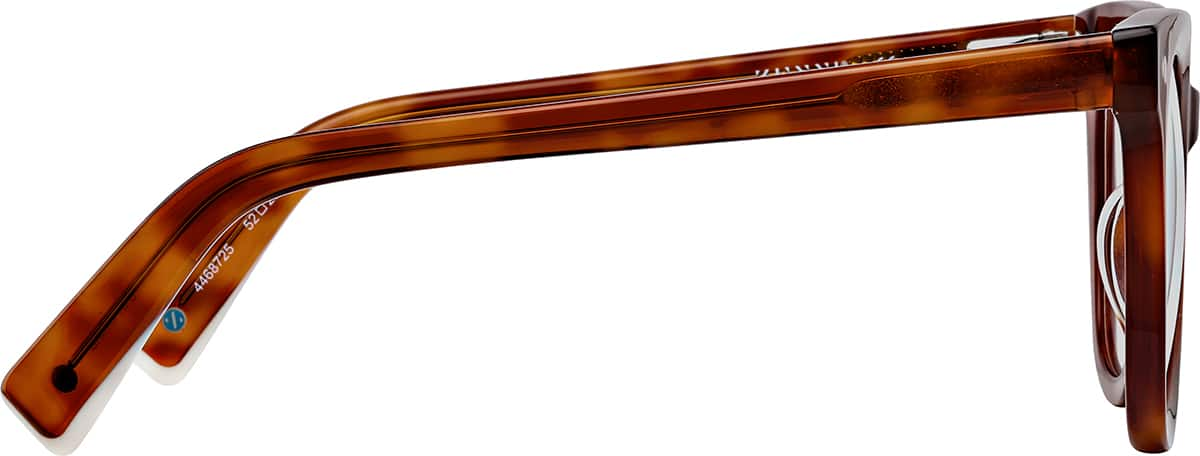 Side view of Dazzle De-lite  4468725 in Tortoiseshell