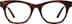 Pizzazz  4468825 in Tortoiseshell