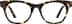 Pizzazz  4468835 in Tortoiseshell