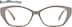 Cat-Eye Glasses 4469012 in Gray