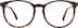 Round Glasses 4469135 in Tortoiseshell