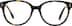 Square Glasses 4469225 in Tortoiseshell