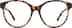 Round Glasses 4472125 in Tortoiseshell