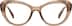 Cat-Eye Glasses 4472515 in Brown