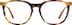 Square Glasses 4474025 in Tortoiseshell
