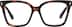 Square Glasses 4474125 in Tortoiseshell