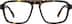 Dynamo 4474225 in Tortoiseshell