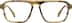 Dynamo 4474235 in Tortoiseshell
