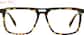 Front view of Santa Cruz Glasses 4474525 in Tortoiseshell thumbnail