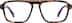Square Glasses 4474725 in Tortoiseshell