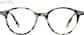Front view of Kittle & Chic Glasses 4475539 in Pattern thumbnail