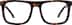 Impact 4475925 in Tortoiseshell