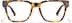 Breakthrough 4480125 in Tortoiseshell