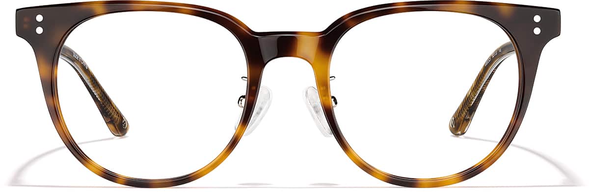 Front view of Evolved 4480325 in Tortoiseshell
