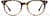 Front view of Evolved 4480325 in Tortoiseshell thumbnail