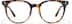 Evolved 4480325 in Tortoiseshell