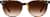 Image of Evolved thumbnail