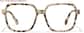 Front view of Momentum 4480935 in Tortoiseshell thumbnail